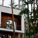 A stylish wooden house with large windows set amidst tall pine trees, ideal for nature lovers.