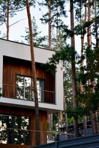 A stylish wooden house with large windows set amidst tall pine trees, ideal for nature lovers.