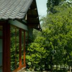 Wooden house with large windows surrounded by lush green garden in summer.