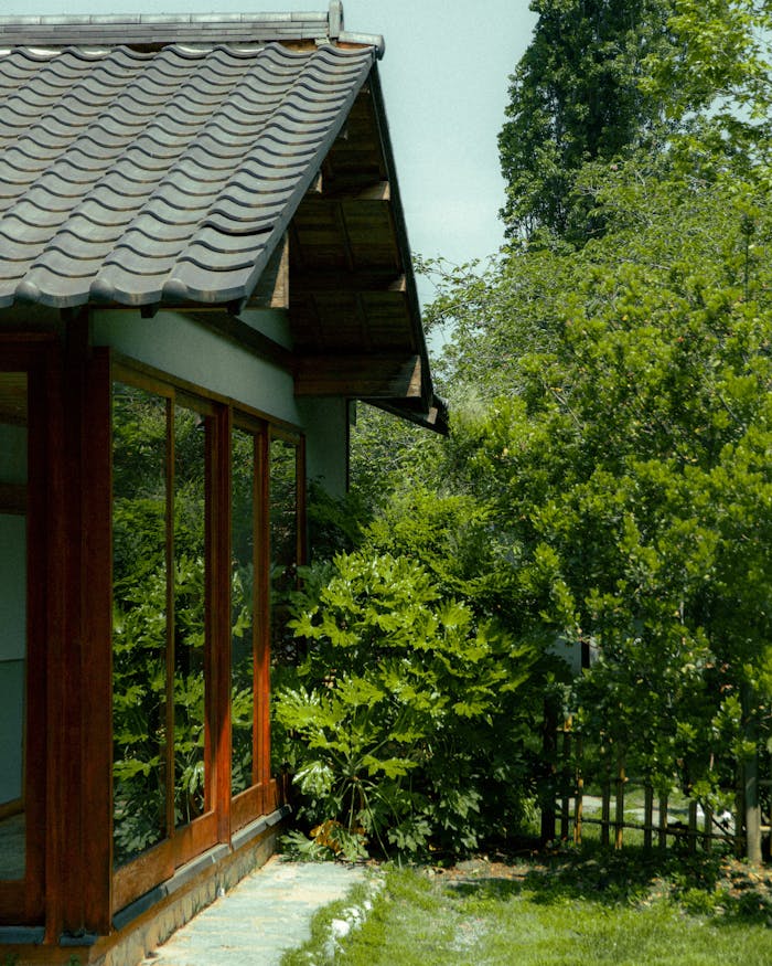 Wooden house with large windows surrounded by lush green garden in summer.